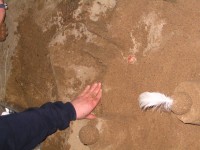 Bild 056 1024 X 768